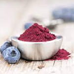blueberry powder1